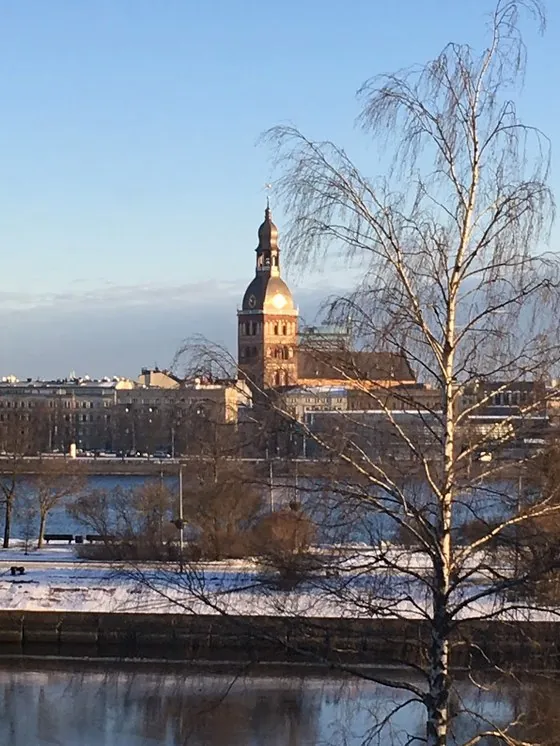Riga across the frozen river, with a church spire and a bare birch tree